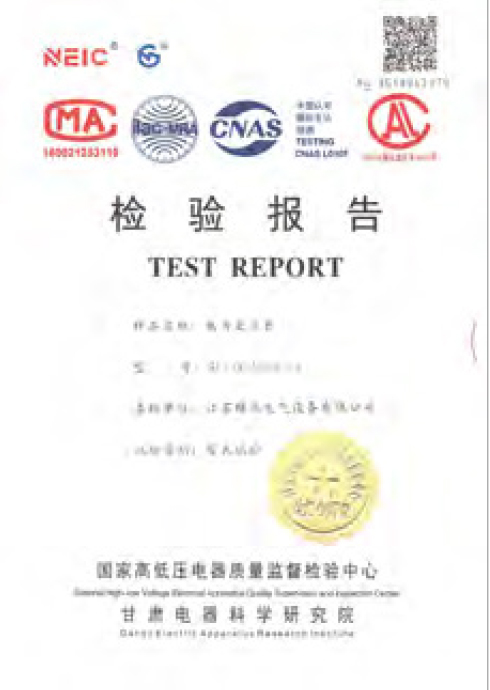 About Us 第35张-Jiangsu Xiongfeng Electric Equipment Co., Ltd. Formal inspection report 11